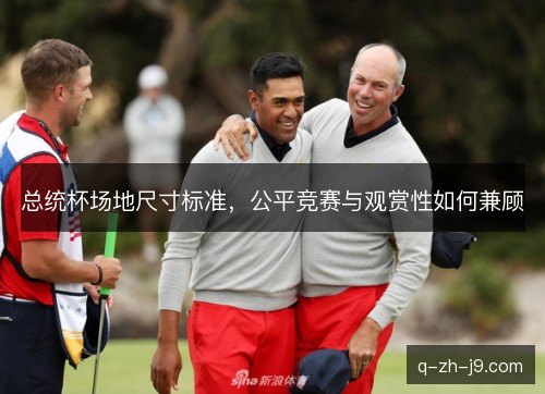 总统杯场地尺寸标准，公平竞赛与观赏性如何兼顾